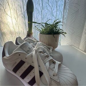 Adidas Superstar White Sneakers